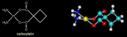 what is cccp in biochem