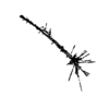 seqclust/clustering/clusters/dir_CL0008/CL8_tmb.png