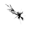 seqclust/clustering/clusters/dir_CL0012/CL12_tmb.png