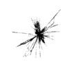 seqclust/clustering/clusters/dir_CL0014/CL14_tmb.png