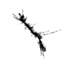 seqclust/clustering/clusters/dir_CL0021/CL21_tmb.png