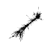seqclust/clustering/clusters/dir_CL0024/CL24_tmb.png
