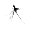 seqclust/clustering/clusters/dir_CL0027/CL27_tmb.png