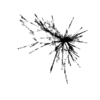 seqclust/clustering/clusters/dir_CL0032/CL32_tmb.png