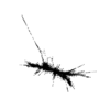 seqclust/clustering/clusters/dir_CL0038/CL38_tmb.png