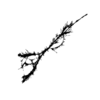 seqclust/clustering/clusters/dir_CL0045/CL45_tmb.png