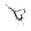seqclust/clustering/clusters/dir_CL0048/CL48_tmb.png