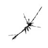 seqclust/clustering/clusters/dir_CL0050/CL50_tmb.png