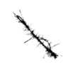 seqclust/clustering/clusters/dir_CL0053/CL53_tmb.png