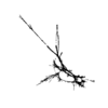 seqclust/clustering/clusters/dir_CL0057/CL57_tmb.png