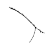seqclust/clustering/clusters/dir_CL0058/CL58_tmb.png
