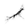 seqclust/clustering/clusters/dir_CL0060/CL60_tmb.png