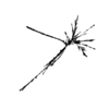 seqclust/clustering/clusters/dir_CL0064/CL64_tmb.png