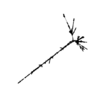 seqclust/clustering/clusters/dir_CL0067/CL67_tmb.png