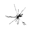 seqclust/clustering/clusters/dir_CL0068/CL68_tmb.png