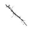seqclust/clustering/clusters/dir_CL0071/CL71_tmb.png