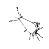 seqclust/clustering/clusters/dir_CL0076/CL76_tmb.png