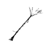 seqclust/clustering/clusters/dir_CL0077/CL77_tmb.png