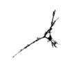 seqclust/clustering/clusters/dir_CL0078/CL78_tmb.png