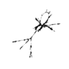 seqclust/clustering/clusters/dir_CL0084/CL84_tmb.png