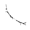 seqclust/clustering/clusters/dir_CL0088/CL88_tmb.png