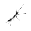 seqclust/clustering/clusters/dir_CL0089/CL89_tmb.png