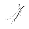 seqclust/clustering/clusters/dir_CL0091/CL91_tmb.png
