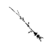 seqclust/clustering/clusters/dir_CL0097/CL97_tmb.png