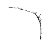 seqclust/clustering/clusters/dir_CL0099/CL99_tmb.png