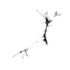 seqclust/clustering/clusters/dir_CL0105/CL105_tmb.png