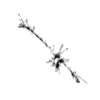 seqclust/clustering/clusters/dir_CL0107/CL107_tmb.png