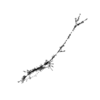 seqclust/clustering/clusters/dir_CL0113/CL113_tmb.png
