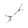 seqclust/clustering/clusters/dir_CL0116/CL116_tmb.png