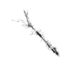 seqclust/clustering/clusters/dir_CL0117/CL117_tmb.png