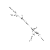seqclust/clustering/clusters/dir_CL0135/CL135_tmb.png