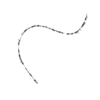 seqclust/clustering/clusters/dir_CL0137/CL137_tmb.png