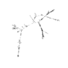 seqclust/clustering/clusters/dir_CL0141/CL141_tmb.png