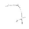 seqclust/clustering/clusters/dir_CL0143/CL143_tmb.png