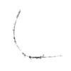 seqclust/clustering/clusters/dir_CL0149/CL149_tmb.png
