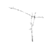 seqclust/clustering/clusters/dir_CL0163/CL163_tmb.png