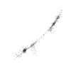 seqclust/clustering/clusters/dir_CL0165/CL165_tmb.png
