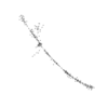 seqclust/clustering/clusters/dir_CL0169/CL169_tmb.png