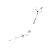 seqclust/clustering/clusters/dir_CL0173/CL173_tmb.png