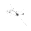seqclust/clustering/clusters/dir_CL0211/CL211_tmb.png