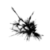 seqclust/clustering/clusters/dir_CL0002/CL2_tmb.png