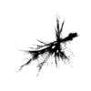 seqclust/clustering/clusters/dir_CL0014/CL14_tmb.png