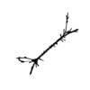 seqclust/clustering/clusters/dir_CL0015/CL15_tmb.png