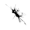 seqclust/clustering/clusters/dir_CL0019/CL19_tmb.png