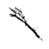 seqclust/clustering/clusters/dir_CL0022/CL22_tmb.png