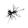seqclust/clustering/clusters/dir_CL0024/CL24_tmb.png